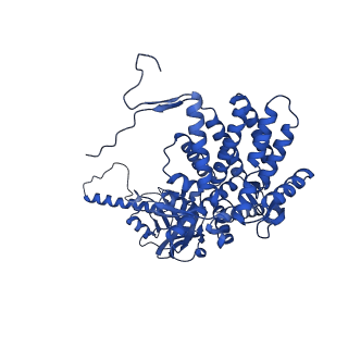 26089_7trg_E_v1-0
The beta-tubulin folding intermediate I