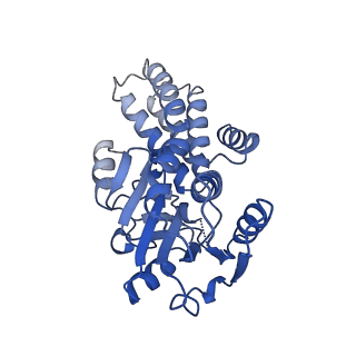 26098_7trj_H_v1-1
The eukaryotic translation initiation factor 2B from Homo sapiens with a H160D mutation in the beta subunit