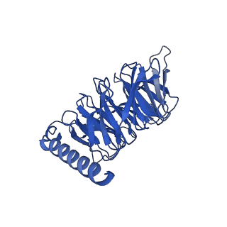 26099_7trk_B_v1-0
Human M4 muscarinic acetylcholine receptor complex with Gi1 and the agonist iperoxo