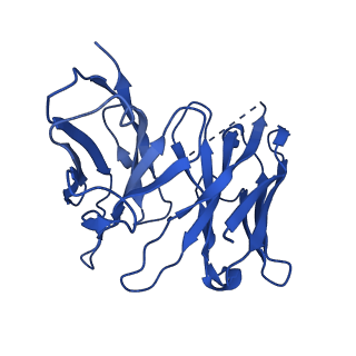 26099_7trk_H_v1-0
Human M4 muscarinic acetylcholine receptor complex with Gi1 and the agonist iperoxo