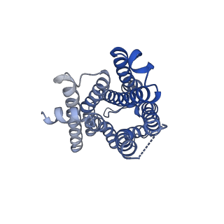 26099_7trk_R_v1-0
Human M4 muscarinic acetylcholine receptor complex with Gi1 and the agonist iperoxo