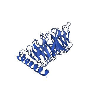 26101_7trq_B_v1-0
Human M4 muscarinic acetylcholine receptor complex with Gi1 and the agonist iperoxo and positive allosteric modulator VU0467154