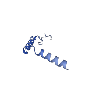 26101_7trq_G_v1-0
Human M4 muscarinic acetylcholine receptor complex with Gi1 and the agonist iperoxo and positive allosteric modulator VU0467154