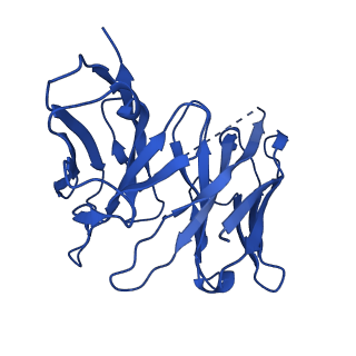 26101_7trq_H_v1-0
Human M4 muscarinic acetylcholine receptor complex with Gi1 and the agonist iperoxo and positive allosteric modulator VU0467154