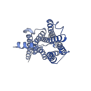 26101_7trq_R_v1-0
Human M4 muscarinic acetylcholine receptor complex with Gi1 and the agonist iperoxo and positive allosteric modulator VU0467154