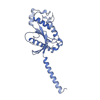 26102_7trs_A_v1-0
Human M4 muscarinic acetylcholine receptor complex with Gi1 and the endogenous agonist acetylcholine