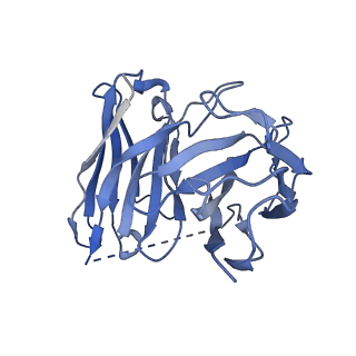 26102_7trs_H_v1-0
Human M4 muscarinic acetylcholine receptor complex with Gi1 and the endogenous agonist acetylcholine