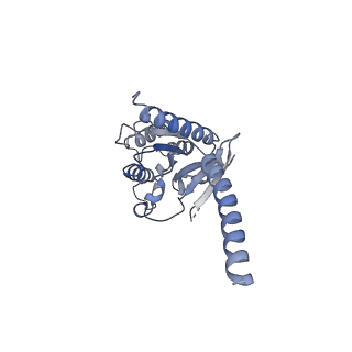 26103_7try_A_v1-1
Cryo-EM structure of corticotropin releasing factor receptor 2 bound to Urocortin 1 and coupled with heterotrimeric G11 protein