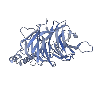 26103_7try_B_v1-1
Cryo-EM structure of corticotropin releasing factor receptor 2 bound to Urocortin 1 and coupled with heterotrimeric G11 protein