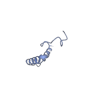26103_7try_G_v1-1
Cryo-EM structure of corticotropin releasing factor receptor 2 bound to Urocortin 1 and coupled with heterotrimeric G11 protein