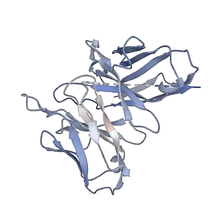 26103_7try_H_v1-1
Cryo-EM structure of corticotropin releasing factor receptor 2 bound to Urocortin 1 and coupled with heterotrimeric G11 protein