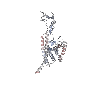 26103_7try_P_v1-1
Cryo-EM structure of corticotropin releasing factor receptor 2 bound to Urocortin 1 and coupled with heterotrimeric G11 protein
