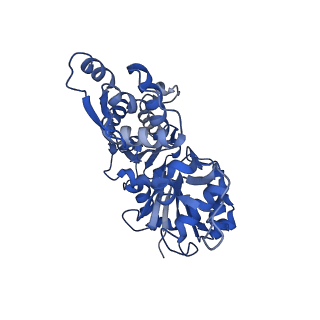 41584_8trn_A_v1-0
Actin 1 from T. gondii in filaments bound to MgADP and jasplakinolide