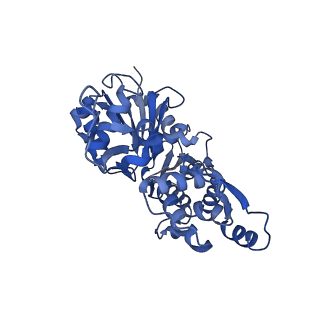 41584_8trn_B_v1-0
Actin 1 from T. gondii in filaments bound to MgADP and jasplakinolide