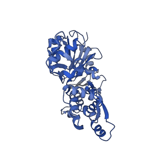 41584_8trn_C_v1-0
Actin 1 from T. gondii in filaments bound to MgADP and jasplakinolide