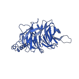 26104_7ts0_B_v1-1
Cryo-EM structure of corticotropin releasing factor receptor 2 bound to Urocortin 1 and coupled with heterotrimeric Go protein