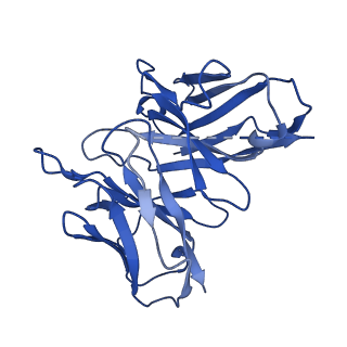 26104_7ts0_H_v1-1
Cryo-EM structure of corticotropin releasing factor receptor 2 bound to Urocortin 1 and coupled with heterotrimeric Go protein