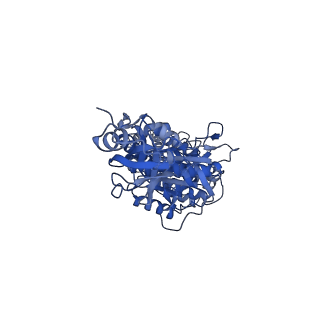 10573_6tt7_A_v1-1
Ovine ATP synthase 1a state