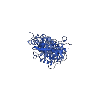 10573_6tt7_A_v2-0
Ovine ATP synthase 1a state