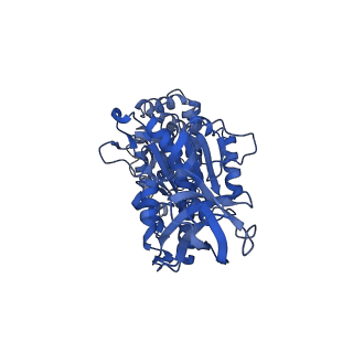 10573_6tt7_B_v1-1
Ovine ATP synthase 1a state