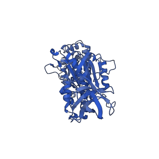 10573_6tt7_B_v2-0
Ovine ATP synthase 1a state