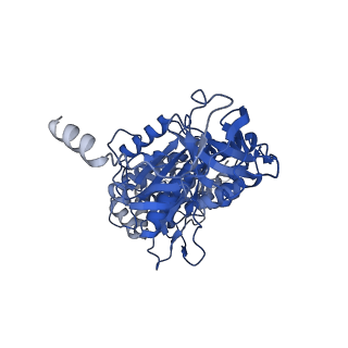 10573_6tt7_C_v1-1
Ovine ATP synthase 1a state