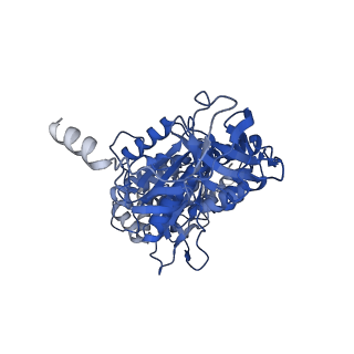 10573_6tt7_C_v2-0
Ovine ATP synthase 1a state