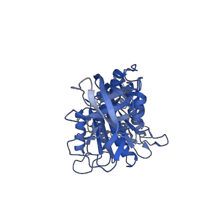 10573_6tt7_D_v1-1
Ovine ATP synthase 1a state