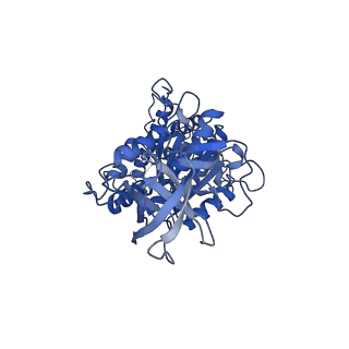 10573_6tt7_E_v1-1
Ovine ATP synthase 1a state
