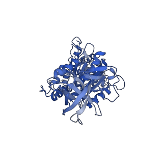 10573_6tt7_E_v2-0
Ovine ATP synthase 1a state