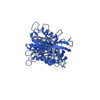 10573_6tt7_F_v1-1
Ovine ATP synthase 1a state