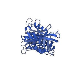 10573_6tt7_F_v2-0
Ovine ATP synthase 1a state