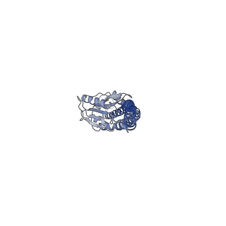 10573_6tt7_G_v2-0
Ovine ATP synthase 1a state