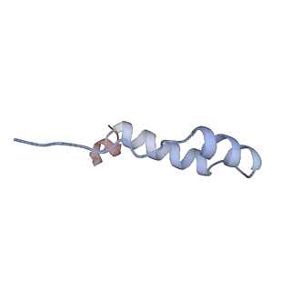 10573_6tt7_I_v1-1
Ovine ATP synthase 1a state