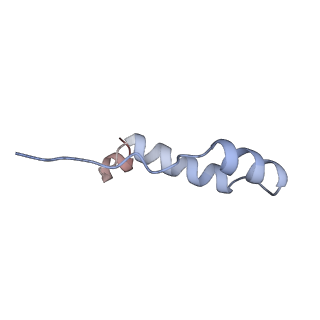 10573_6tt7_I_v2-0
Ovine ATP synthase 1a state
