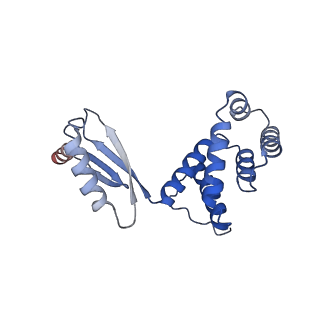 10573_6tt7_J_v1-1
Ovine ATP synthase 1a state