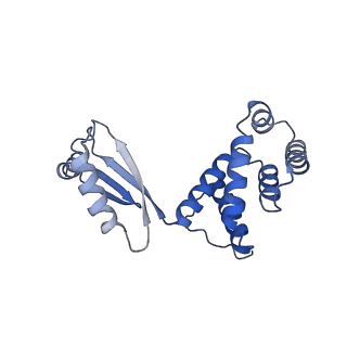 10573_6tt7_J_v2-0
Ovine ATP synthase 1a state