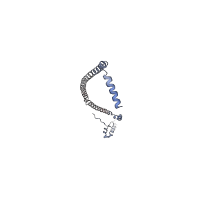 10573_6tt7_K_v1-1
Ovine ATP synthase 1a state