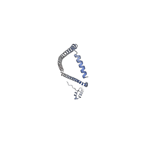 10573_6tt7_K_v2-0
Ovine ATP synthase 1a state