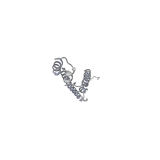 10573_6tt7_M_v1-1
Ovine ATP synthase 1a state