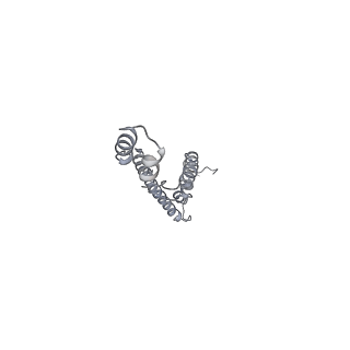 10573_6tt7_M_v2-0
Ovine ATP synthase 1a state