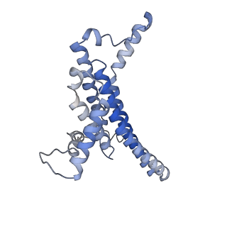 10573_6tt7_N_v1-1
Ovine ATP synthase 1a state