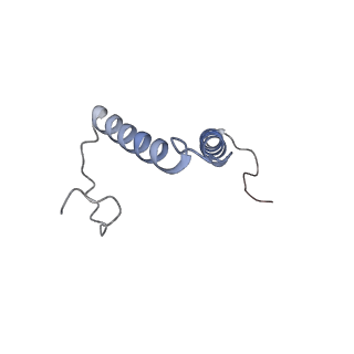 10573_6tt7_R_v1-1
Ovine ATP synthase 1a state