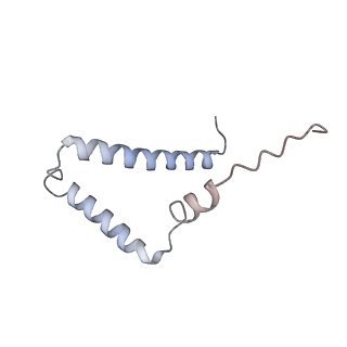 10573_6tt7_S_v1-1
Ovine ATP synthase 1a state