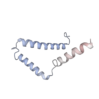 10573_6tt7_S_v2-0
Ovine ATP synthase 1a state