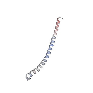 10573_6tt7_T_v1-1
Ovine ATP synthase 1a state