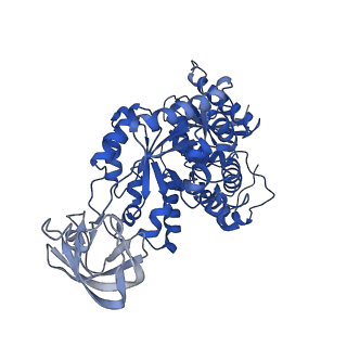10575_6ttf_A_v1-3
PKM2 in complex with Compound 5