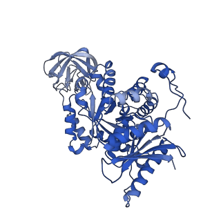 10575_6ttf_D_v1-3
PKM2 in complex with Compound 5