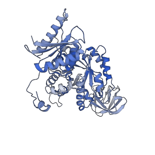 10584_6ttq_D_v1-2
PKM2 in complex with Compound 10