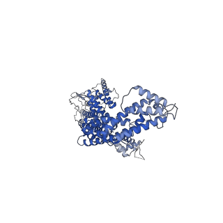10585_6ttu_C_v1-3
Ubiquitin Ligation to substrate by a cullin-RING E3 ligase at 3.7A resolution: NEDD8-CUL1-RBX1 N98R-SKP1-monomeric b-TRCP1dD-IkBa-UB~UBE2D2